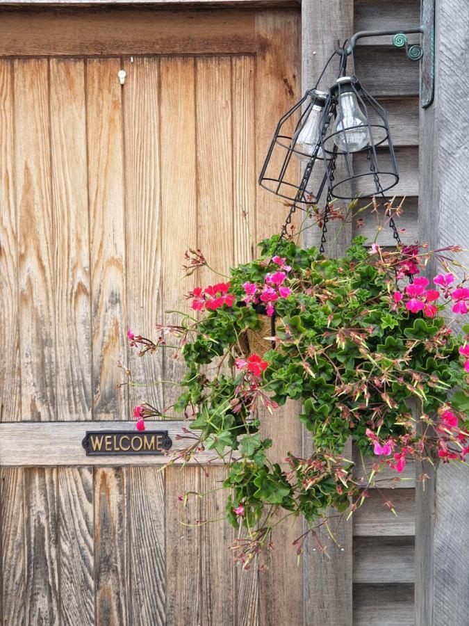 Cedar Barn at DDOG Vineyard Otel Renwick Dış mekan fotoğraf