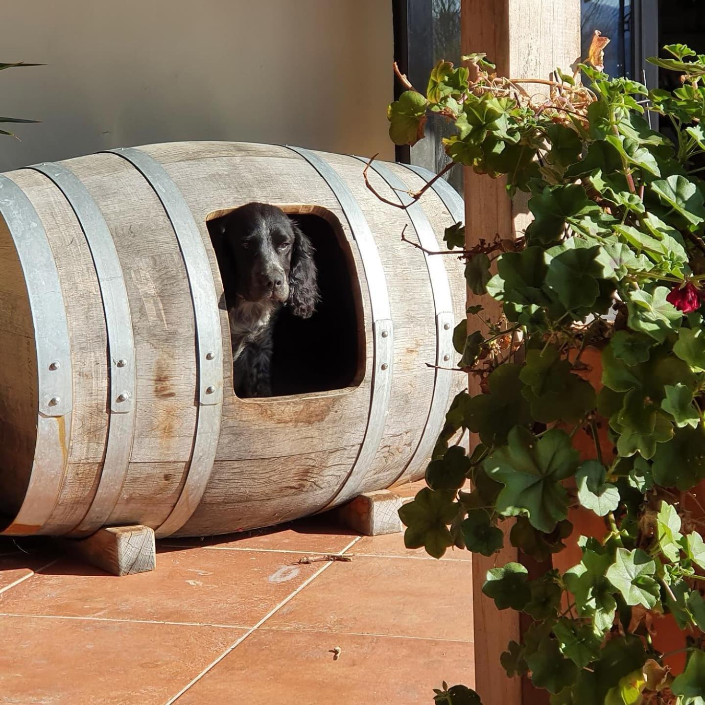 Cedar Barn at DDOG Vineyard Otel Renwick Dış mekan fotoğraf